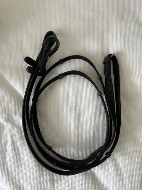 Standard web reins-new