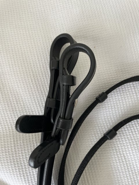 Standard web reins-new 3