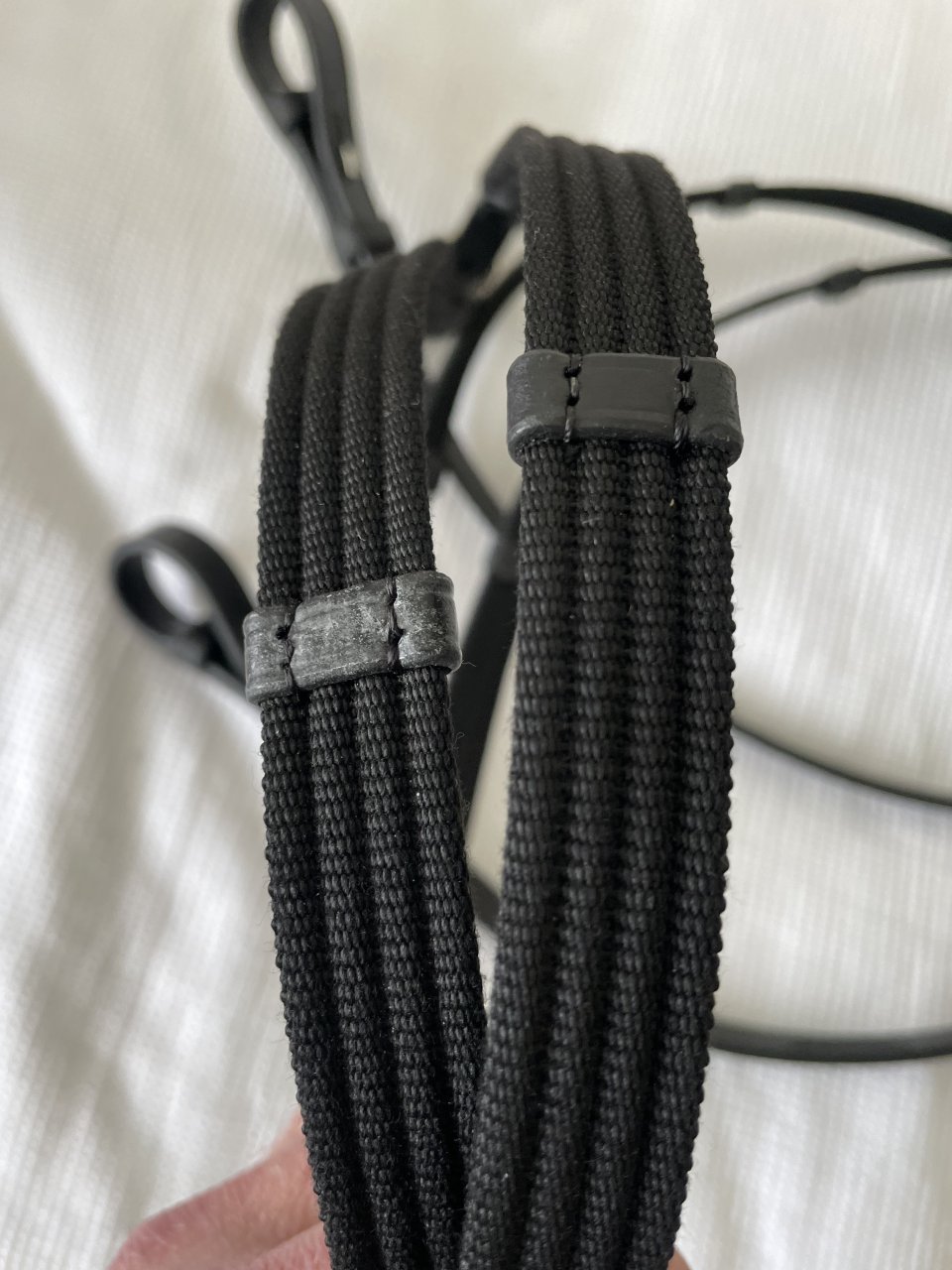 Standard web reins-new